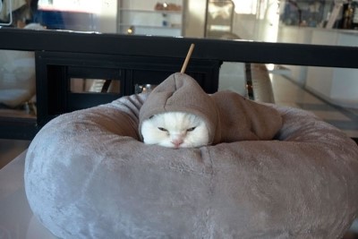 데이트커피 이미지