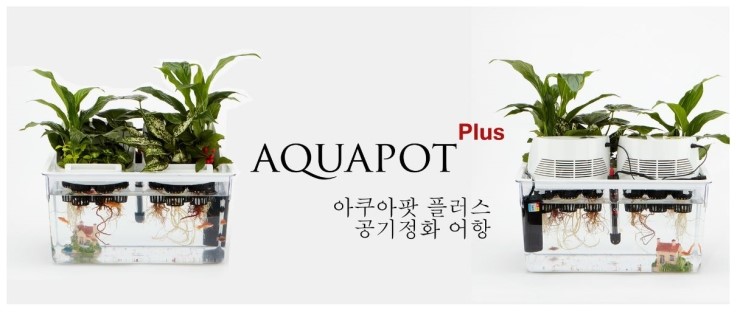 홈톡스닷컴 이미지