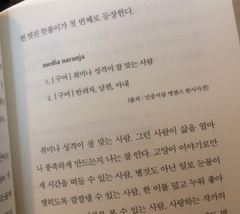 에네로페 이미지