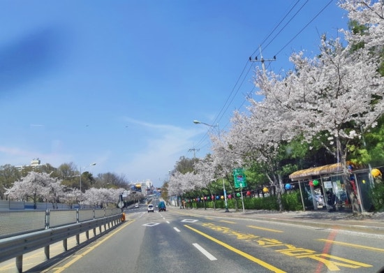 왕송국수 이미지