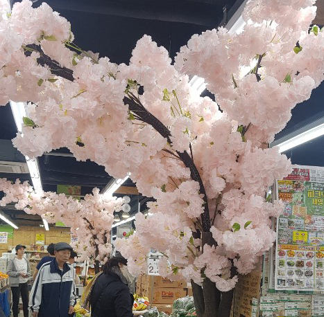 서부식자재마트 이미지