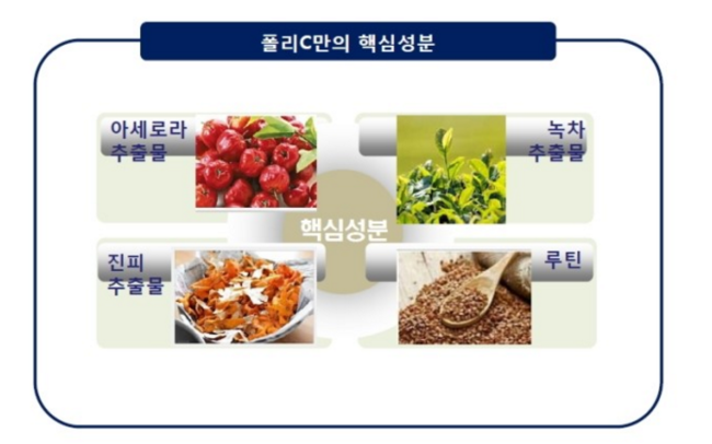 폴리체 이미지