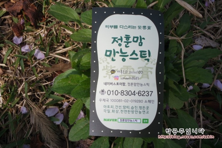 정훈맘만능 이미지
