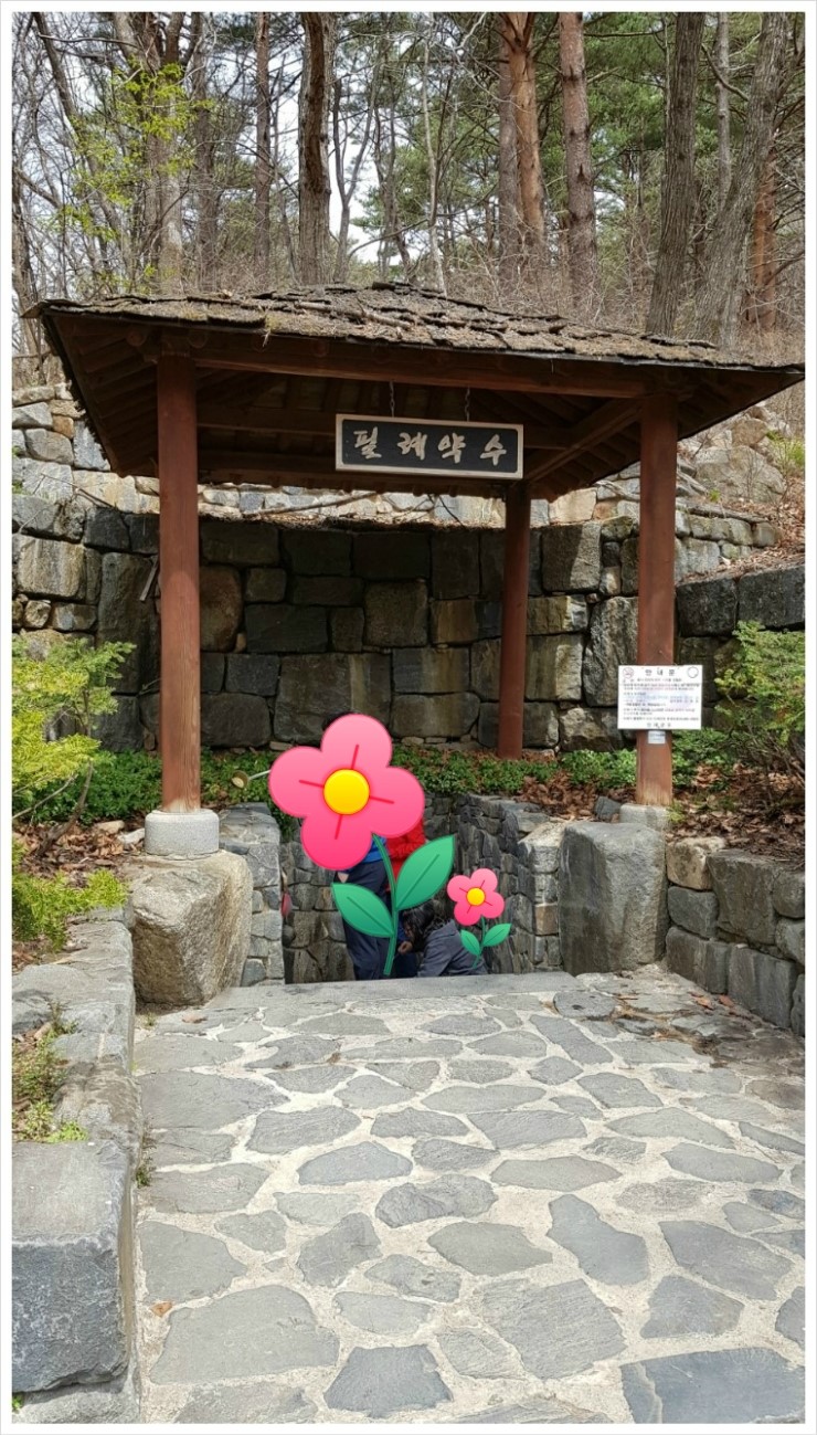 점봉산막국수 이미지