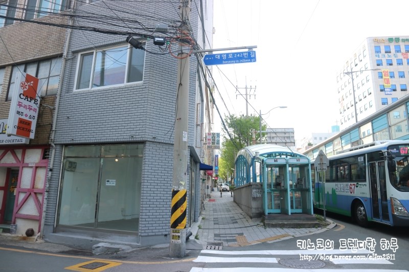 도담댕기 이미지