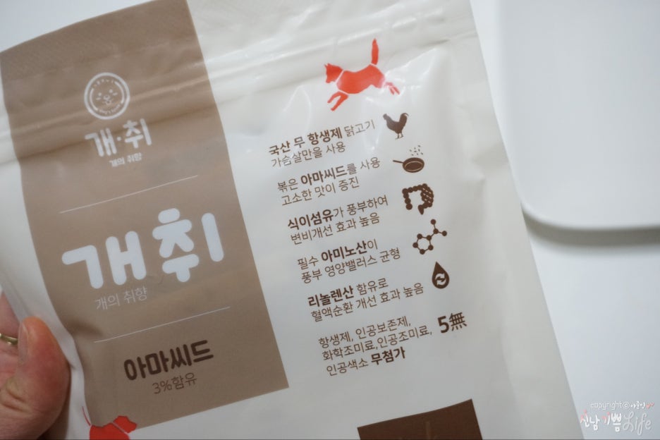 이엔엘 인터내셔널 이미지