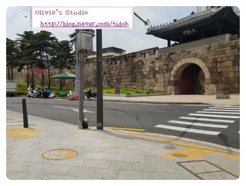 투마리나 이미지