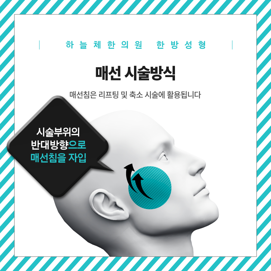 대전한방 이미지