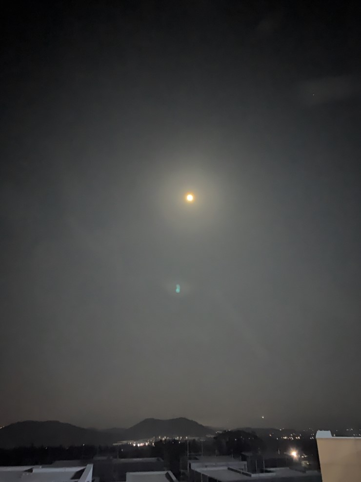 라비아 이미지