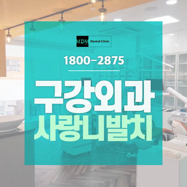 미드미가 이미지