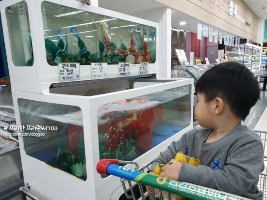 고성푸드 이미지