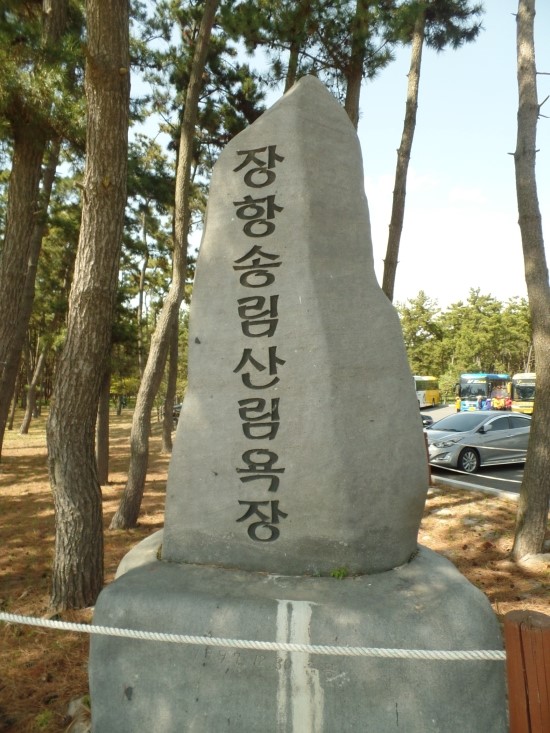 송림향 이미지