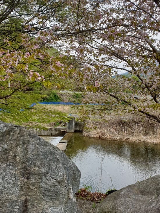 천사봉오토캠핑장 이미지