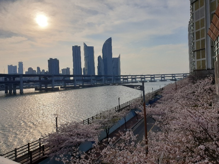 두손주 이미지