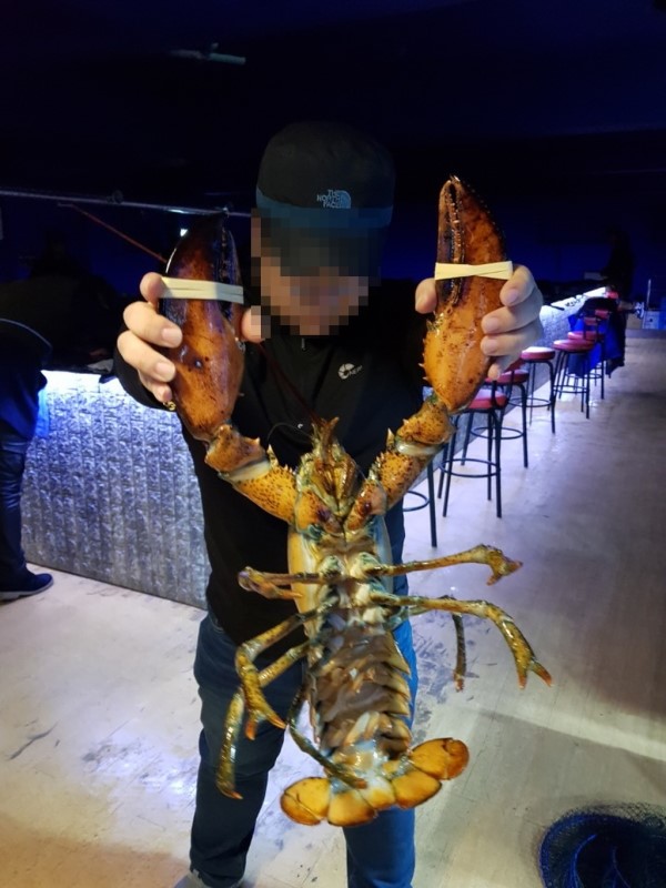 후킹 실내바다낚시 이미지