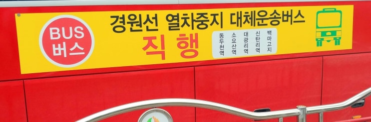 백마고속관광 이미지