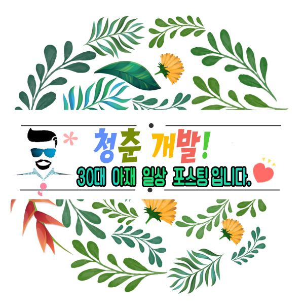 투어와이디 이미지