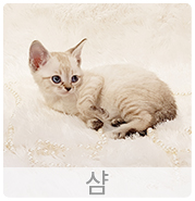 예쁨더하기# 이미지