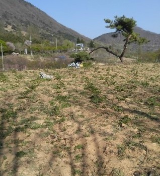 화순장 이미지