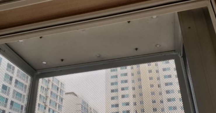 비비크린 이미지