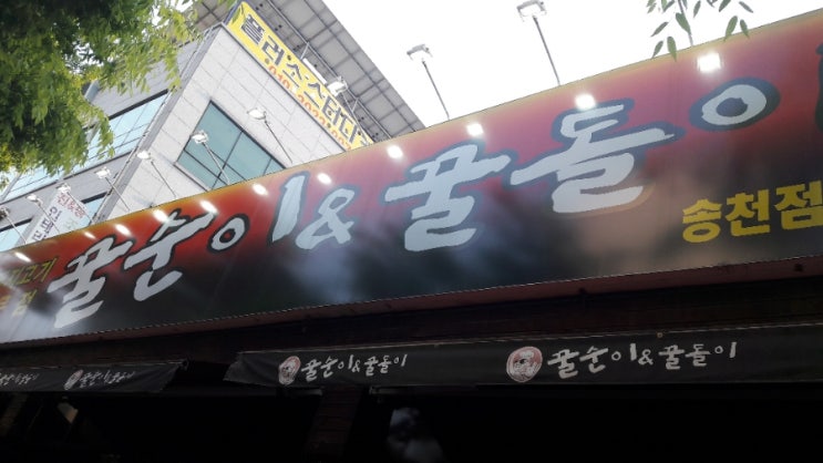 꿀순이앤꿀돌이 이미지