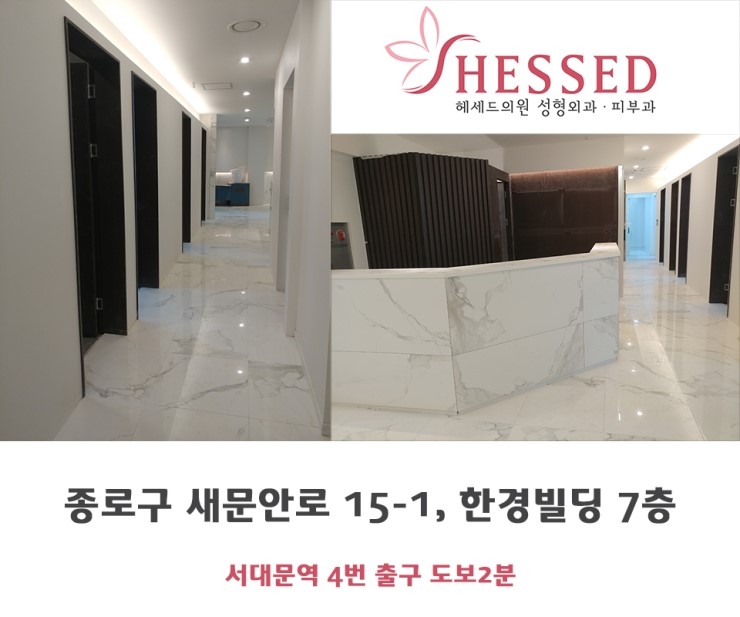 헤세드 이미지
