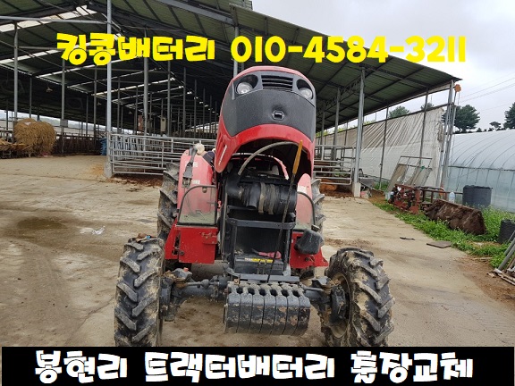 자동차밧데리킹콩할인점 이미지