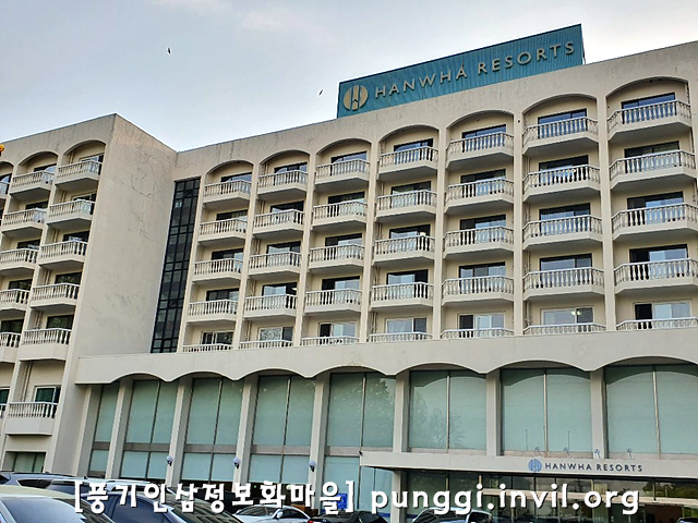 인삼마을벌꿀 이미지