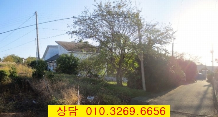 황도리 이미지