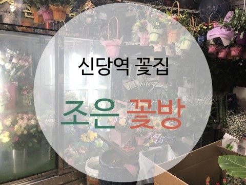 조은꽃방 이미지