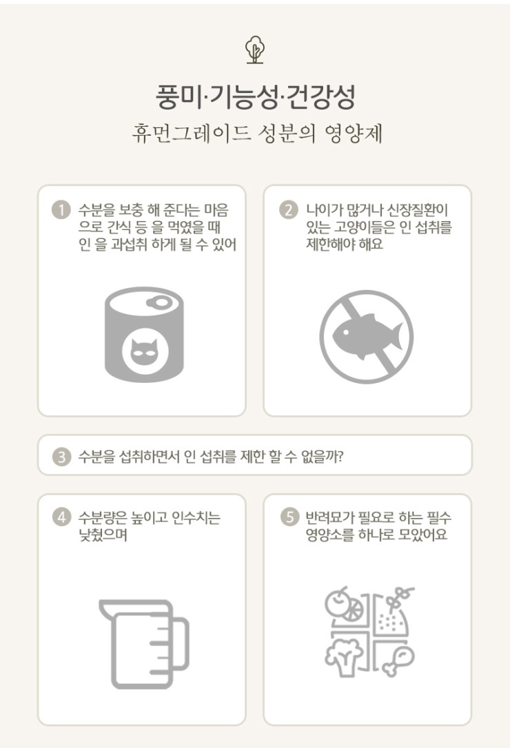 네바에 이미지