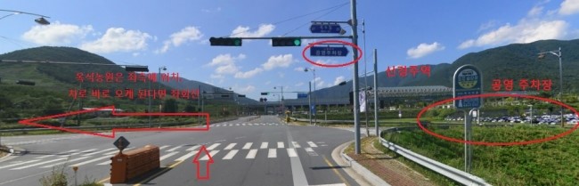 친환경체리 이미지