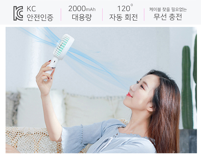 스피니 이미지