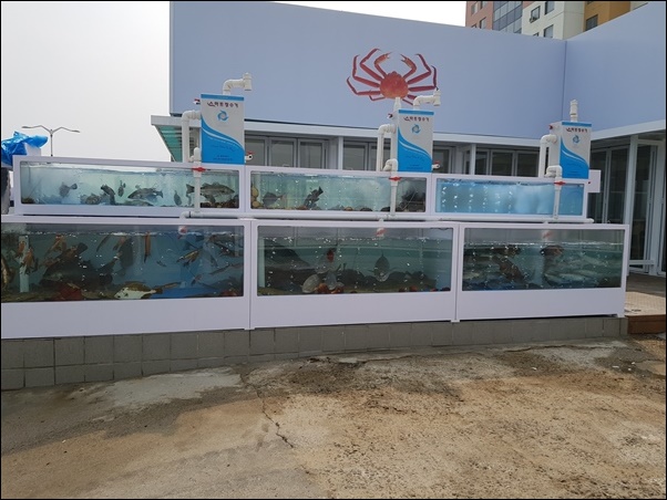 삼해횟집 이미지
