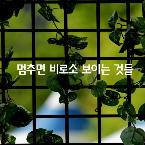 백궁 이미지