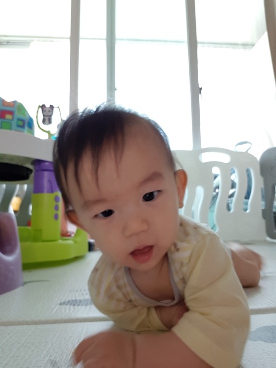 영월야식 이미지
