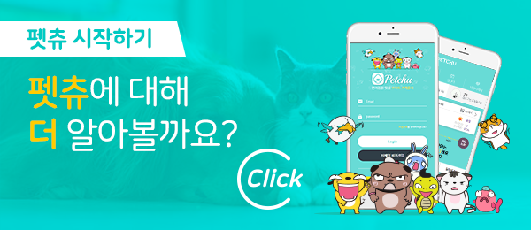 쿤모바일 이미지