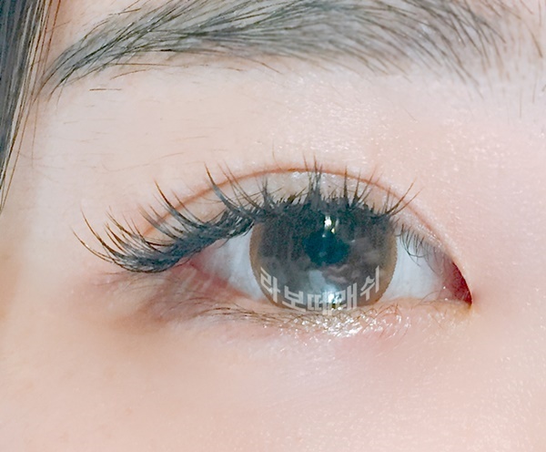 탐나는속눈썹 이미지