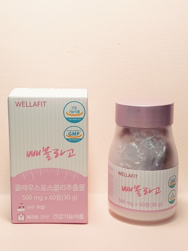 웰라핏 이미지