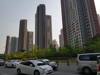 미사청과 이미지
