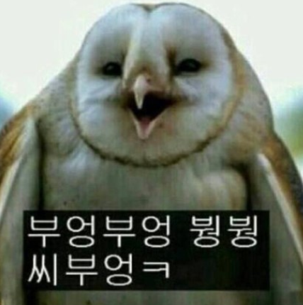 더머거 이미지