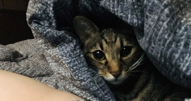 뚱이네수산 이미지