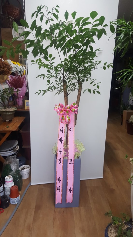 일일일잔 이미지