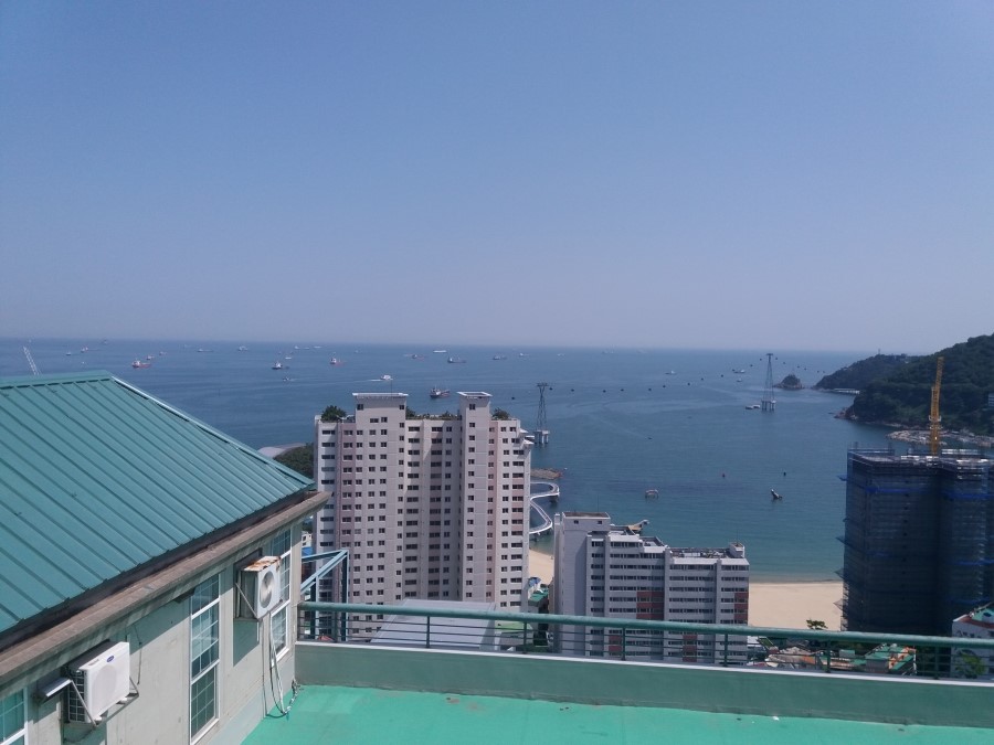 천마도예의숲 이미지