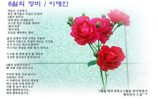 장미수예 이미지