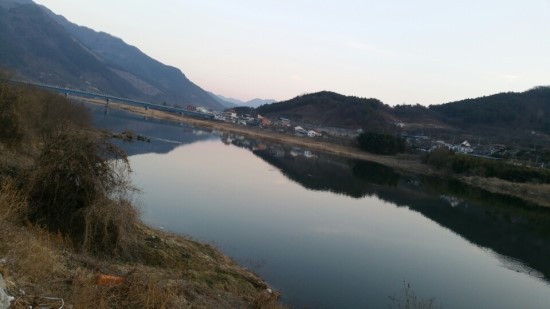 안녕;붕어야 이미지