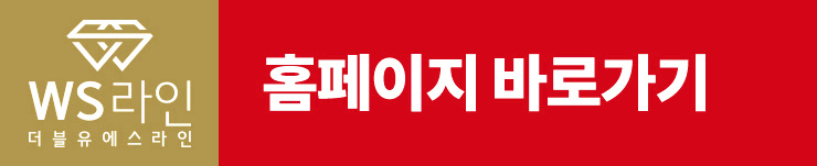 (주)더블유에스 이미지