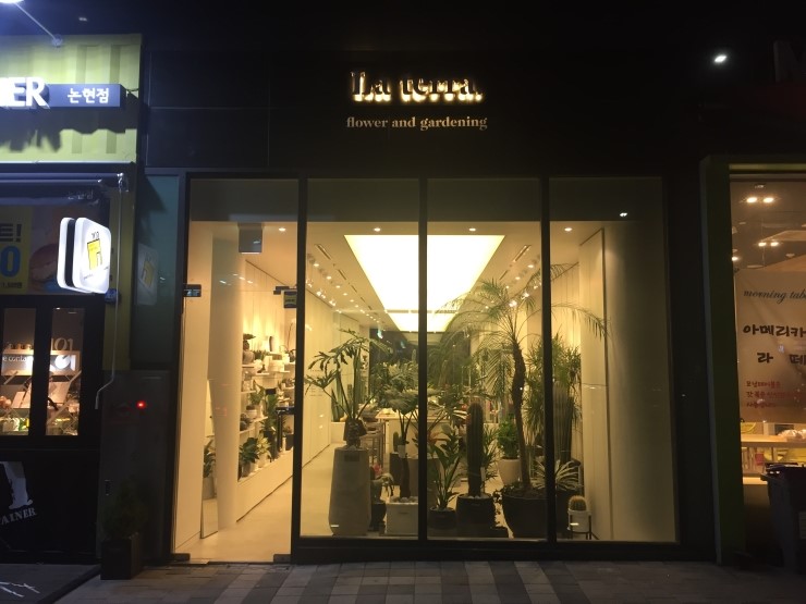 라테라플라워 이미지