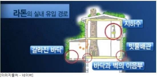 알이랑 건강 이미지