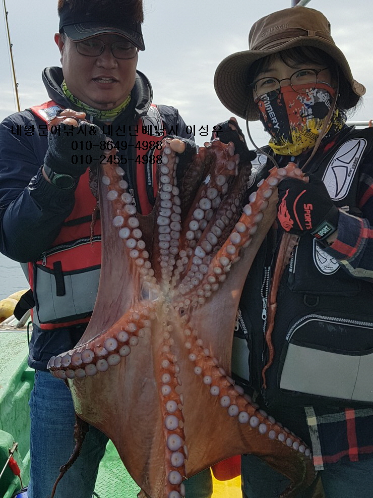 서해왕낚시 이미지